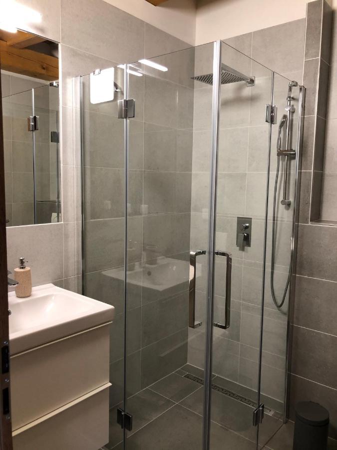 Dolni Benesov Anico Apartmany מראה חיצוני תמונה