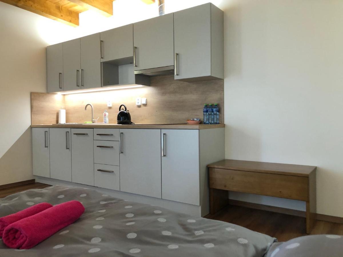 Dolni Benesov Anico Apartmany מראה חיצוני תמונה