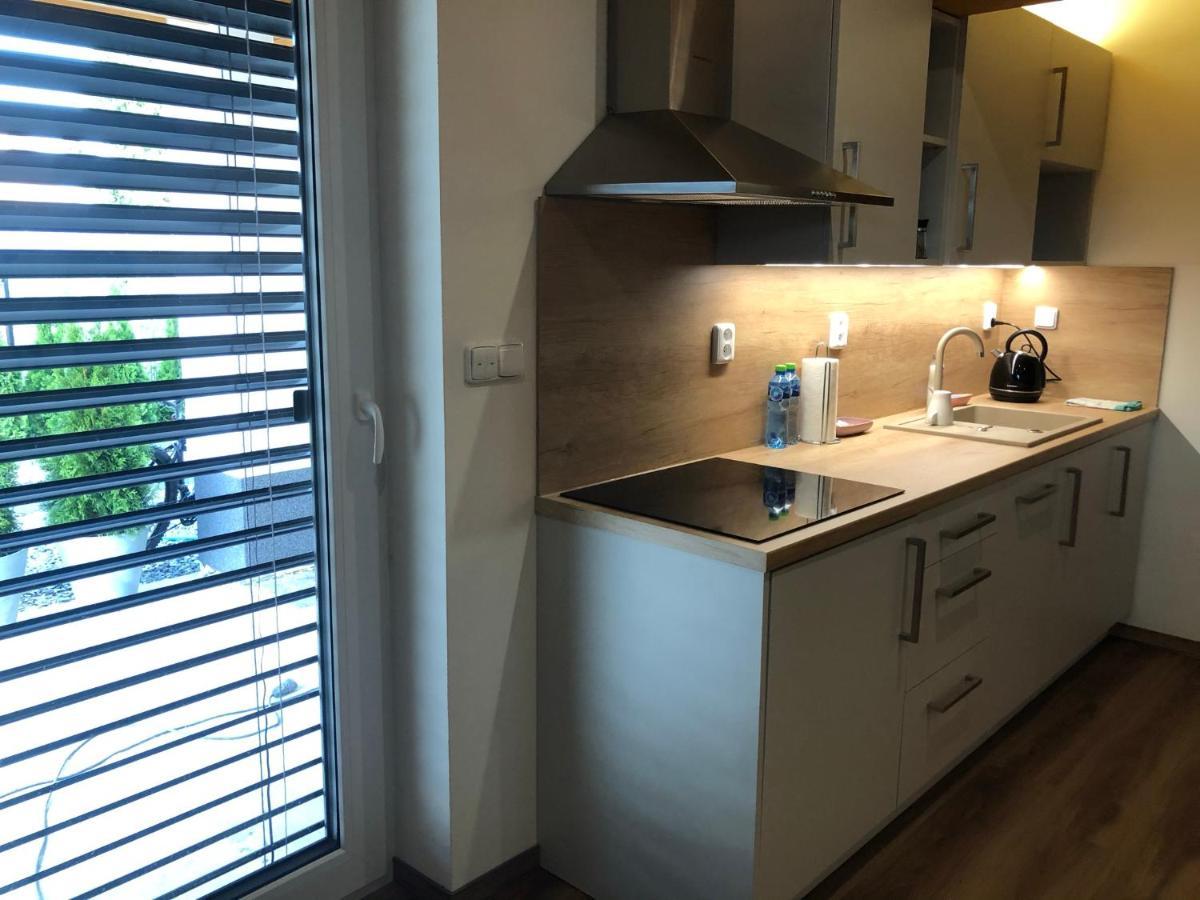 Dolni Benesov Anico Apartmany מראה חיצוני תמונה